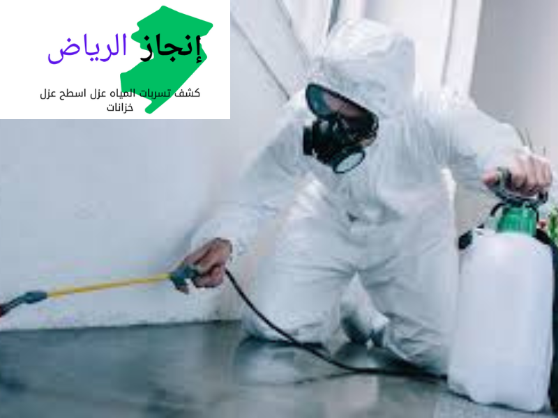 شركة مكافحة الحشرات المنزلية بالمبيدات  في الرياض 