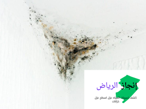 الكشف علي رطوبة الجدران