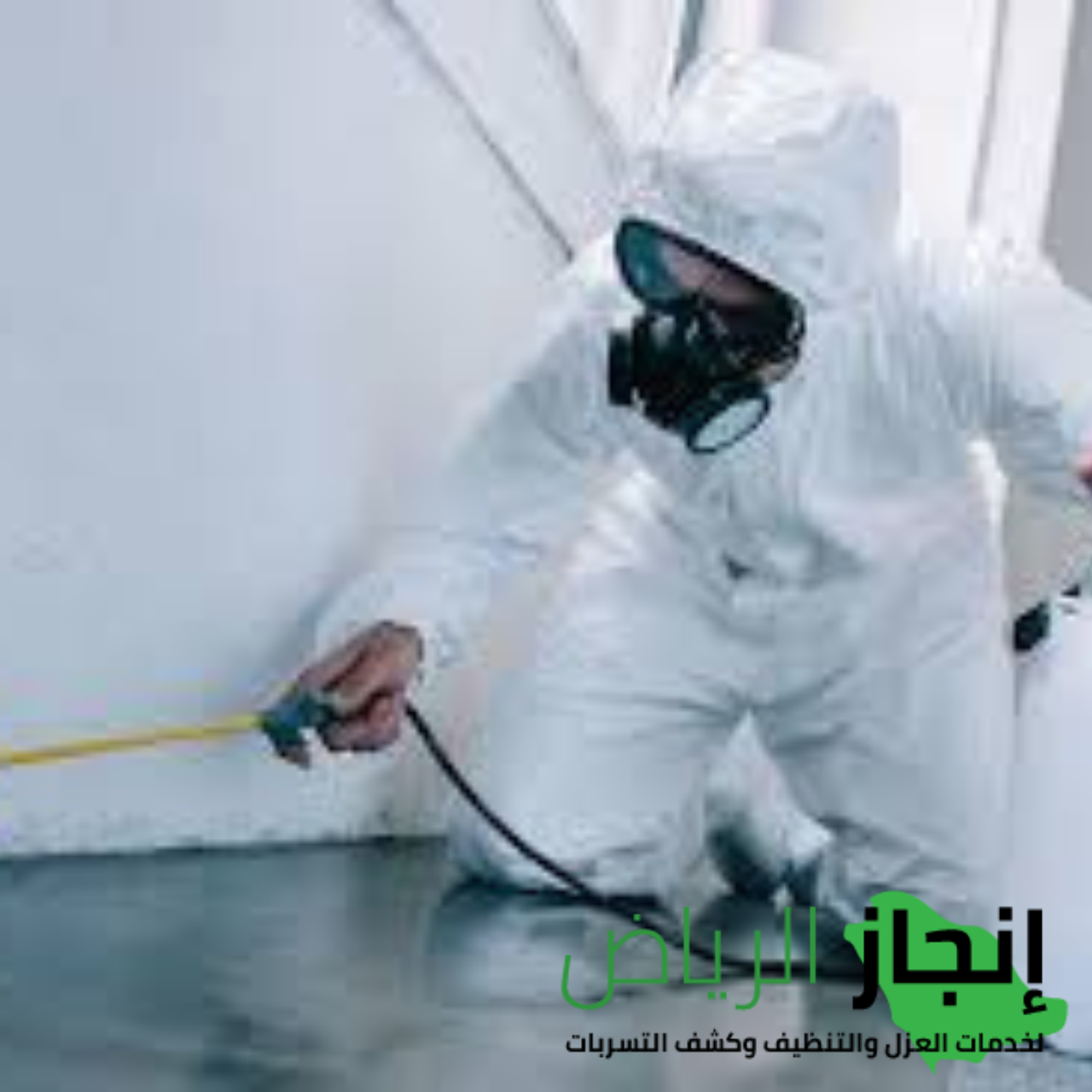 شركة مكافحة الحشرات المنزلية بالمبيدات  في الرياض 