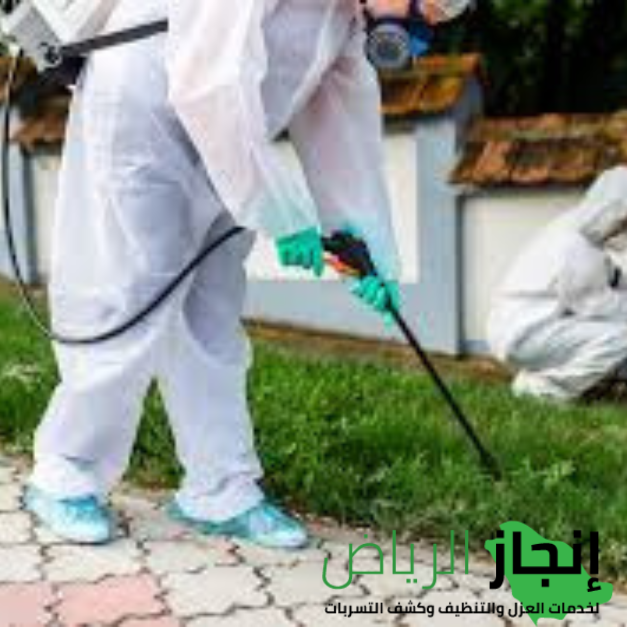 شركة رش مبيد حشري