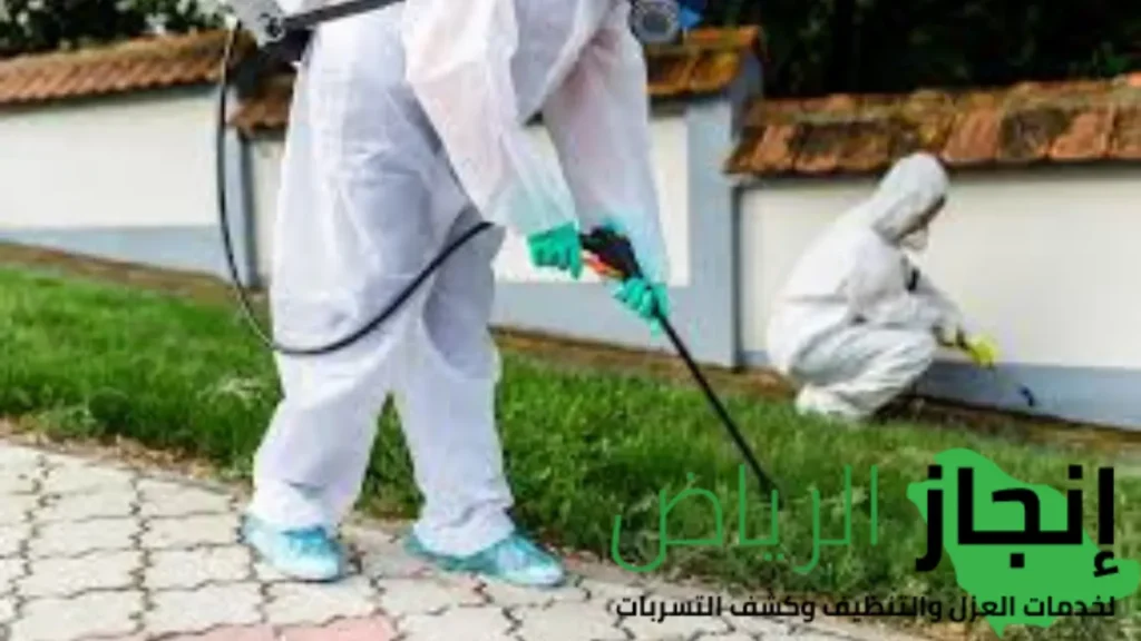 شركة مكافحة الصراصير بالرياض