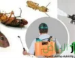 شركة مكافحة الصراصير بالرياض بأفضل ألإسعار