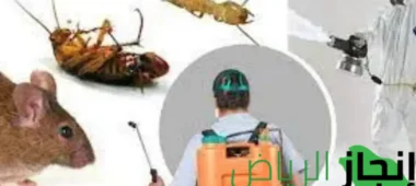 شركة مكافحة الصراصير بالرياض