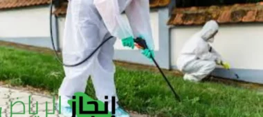 فوائد مكافحة الحشرات