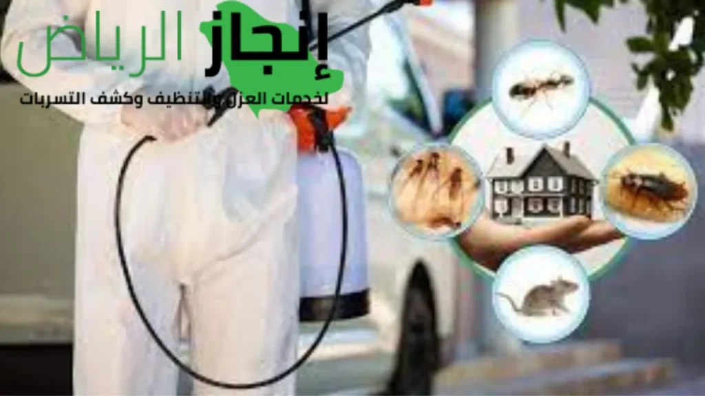 مكافحة الحشرات بالرياض 