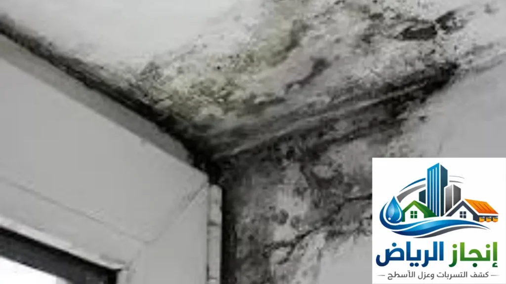 طريقة الكشف علي رطوبة الجدران