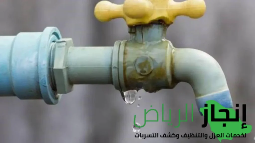 كشف تسرب الماء بالرياض