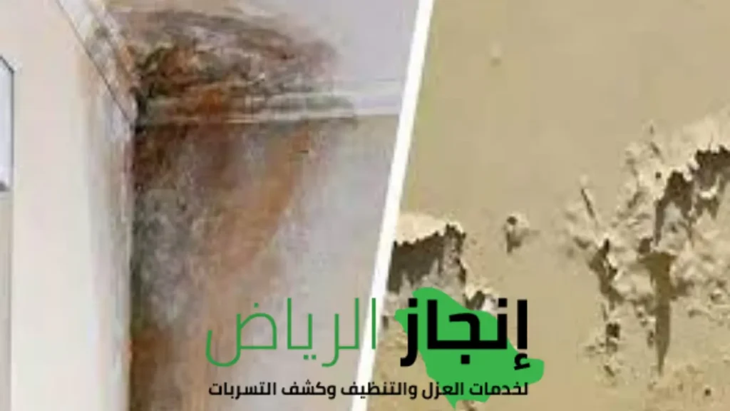 رطوبة الجدران