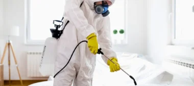 شركة رش مبيدات بالخرج