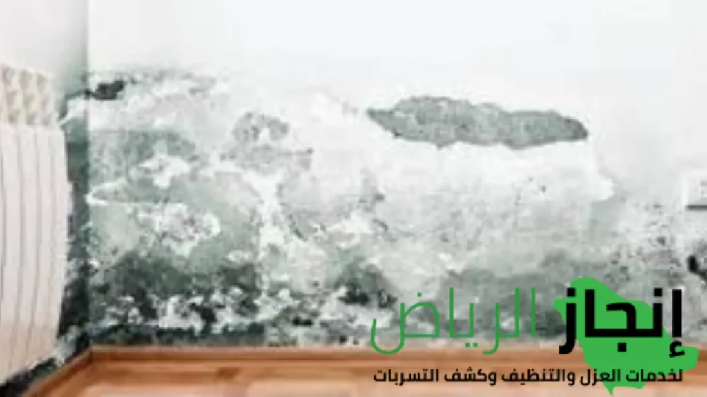 الكشف علي رطوبة الجدران
