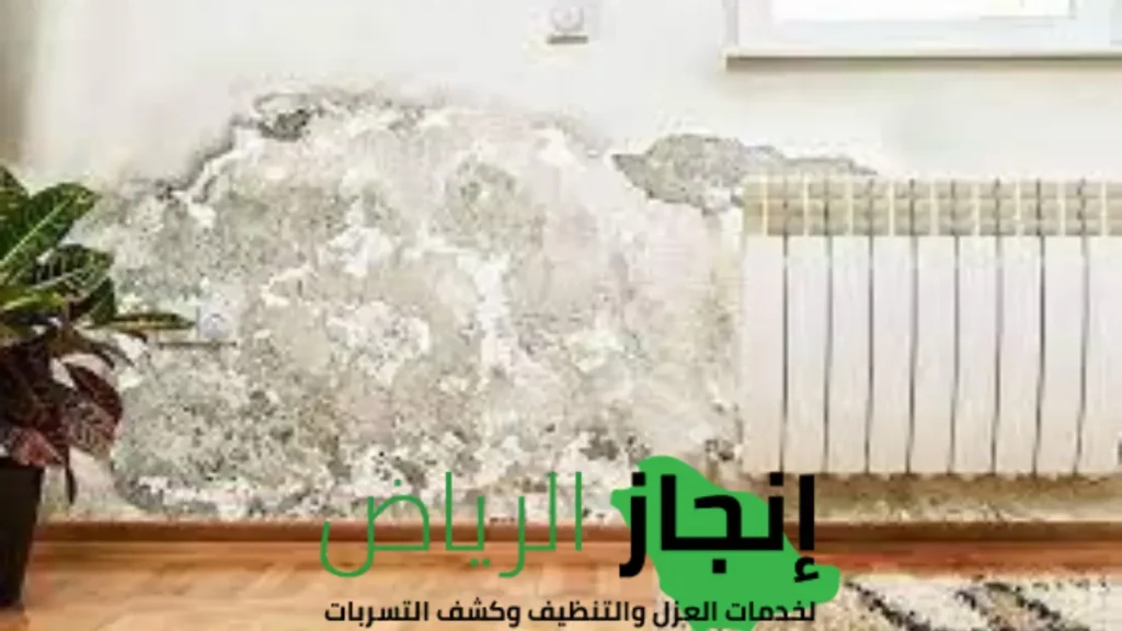 الكشف علي رطوبة الجدران