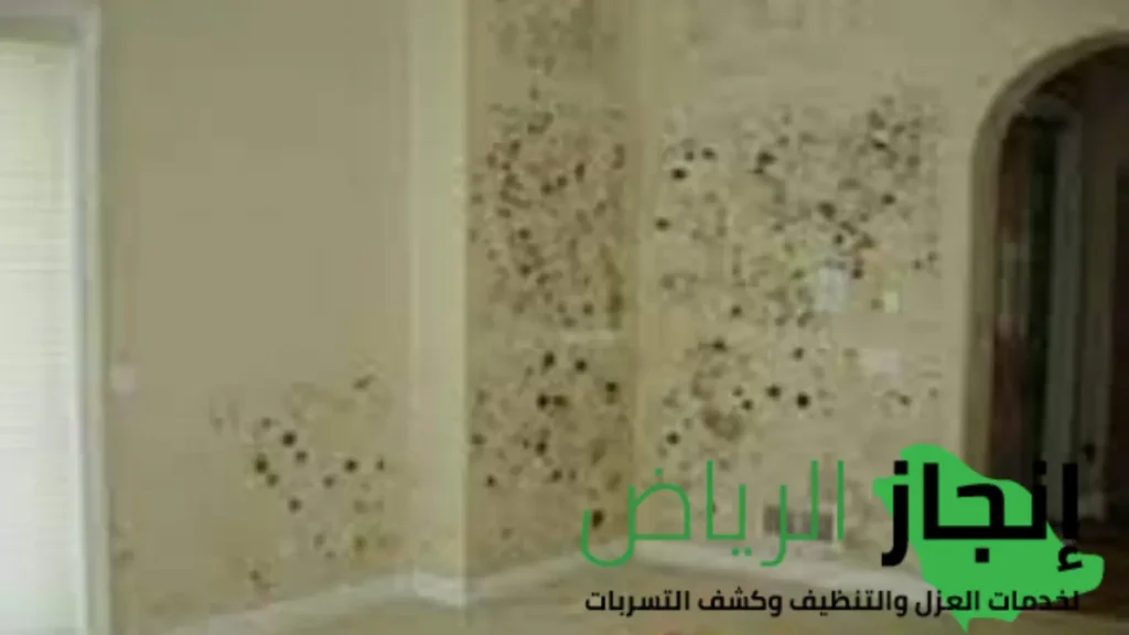 الكشف علي رطوبة الجدران
