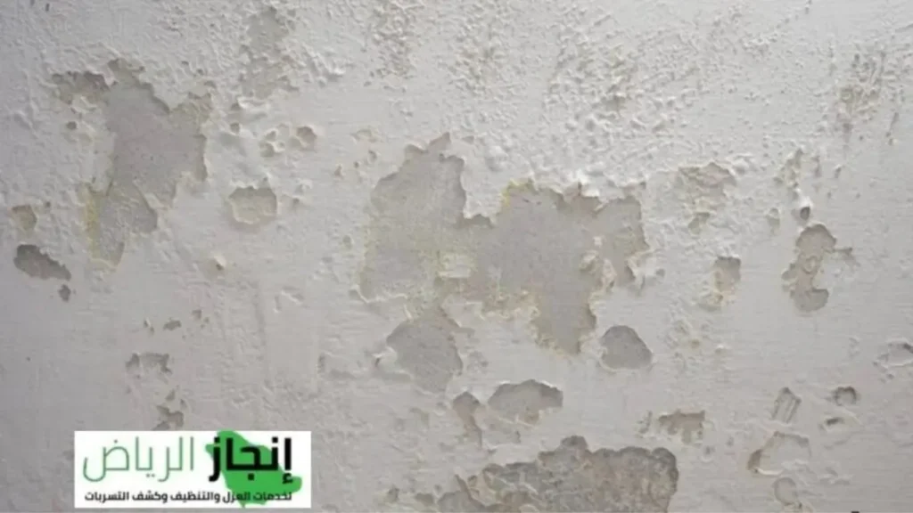 الكشف علي رطوبة الجدران