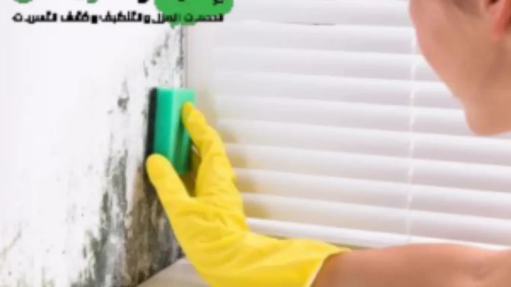 الكشف علي رطوبة الجدران