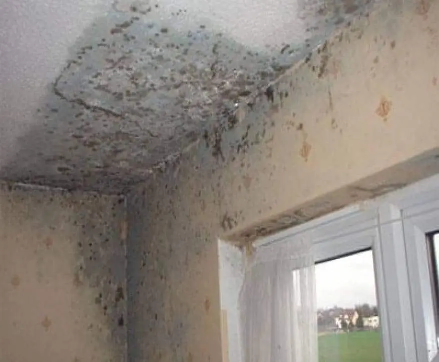 الكشف علي رطوبة الجدران