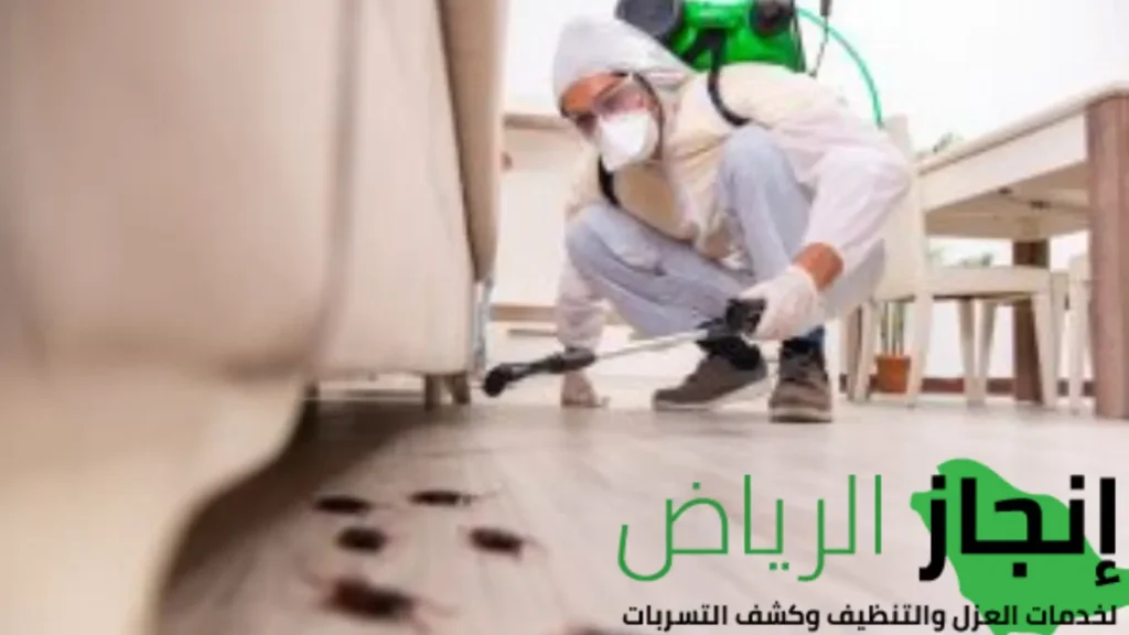 مكافحة الحشرات المنزليه بمواد نهائية